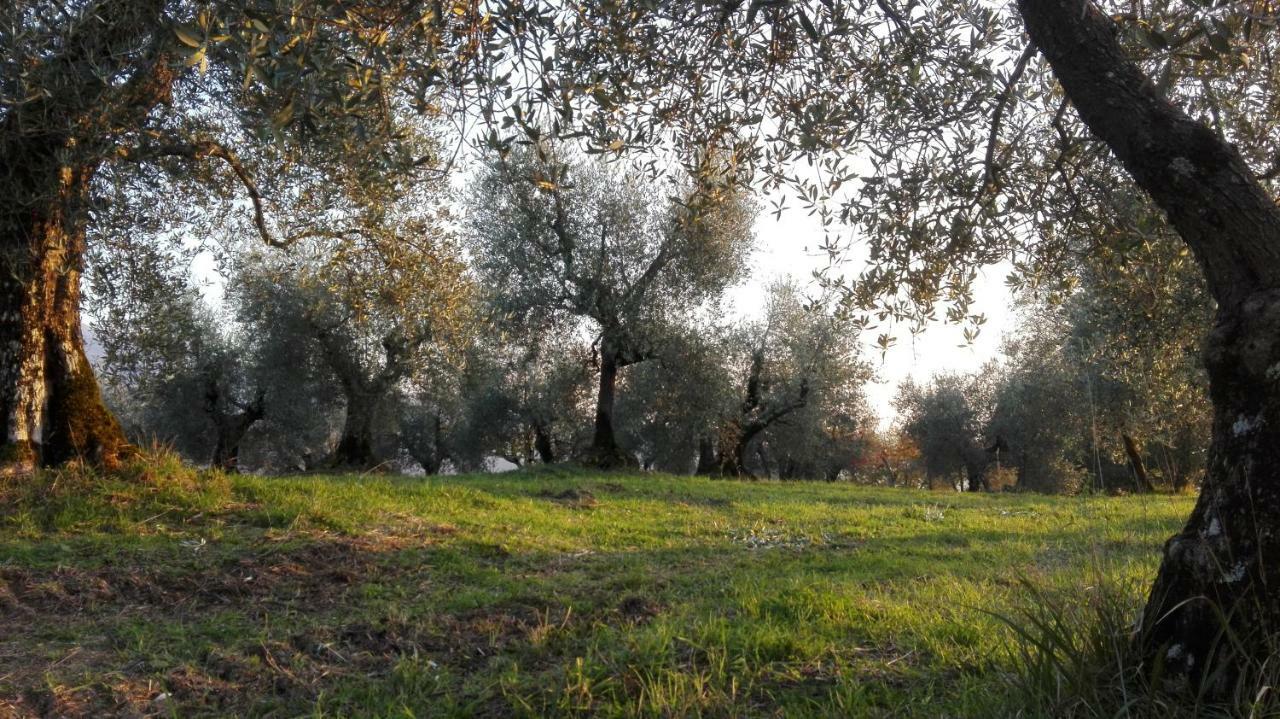 הוילה Pelago La Fornella Dell'Anita מראה חיצוני תמונה
